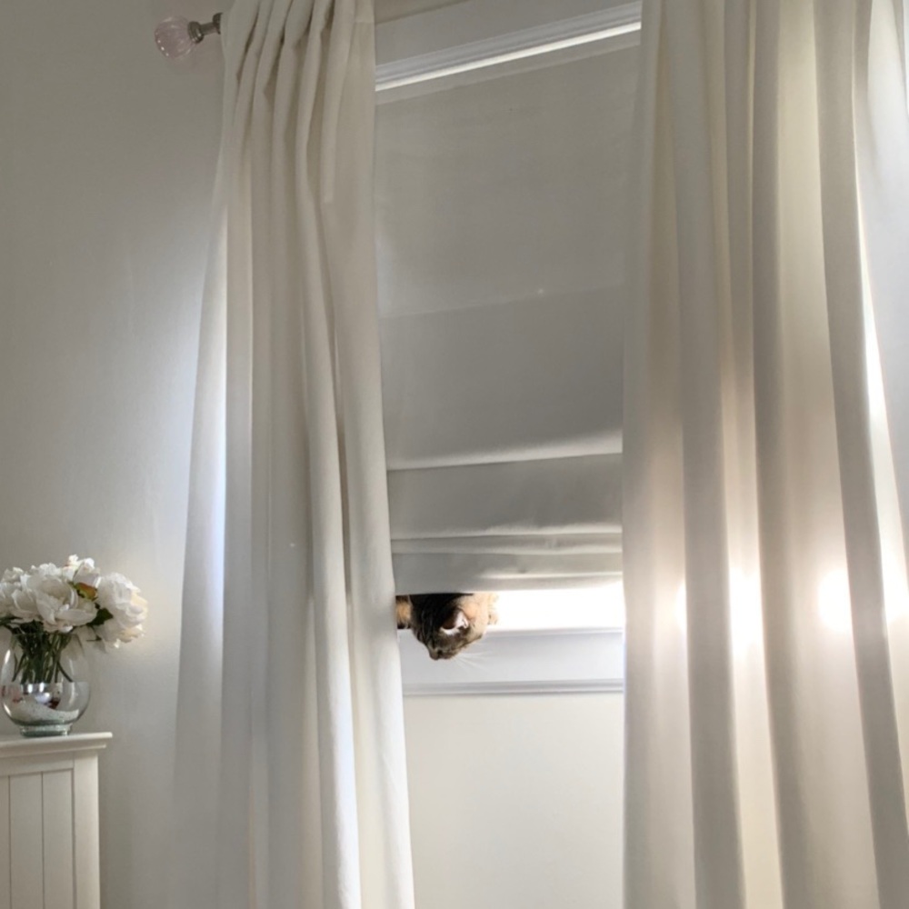 Project 62 Velvet Curtain Panels (2)